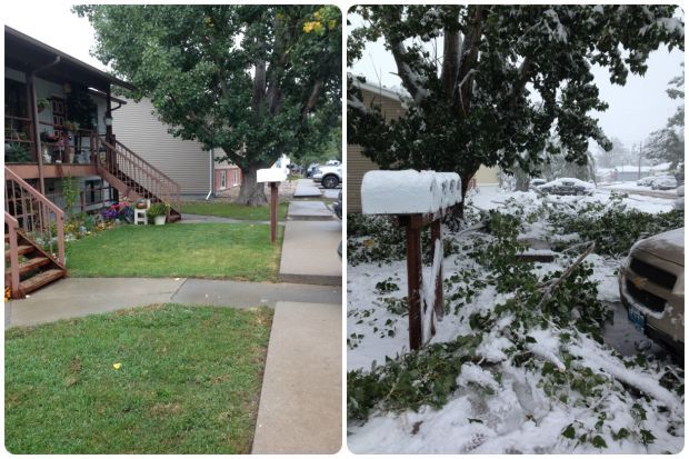 Winter Storm Atlas